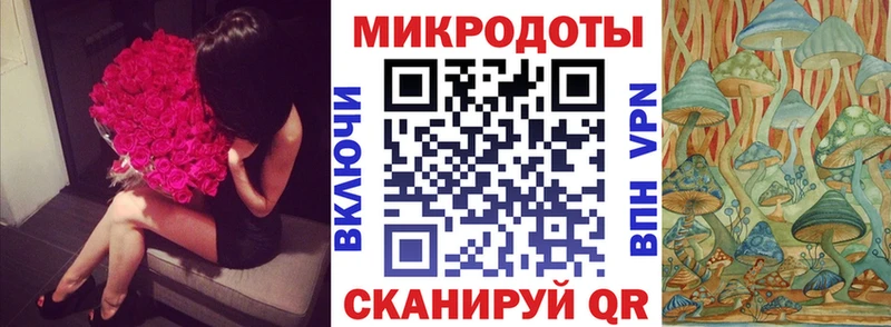 как найти закладки  Сергач  Псилоцибиновые грибы мицелий 